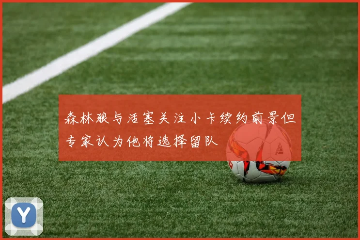 森林狼与活塞关注小卡续约前景但专家认为他将选择留队
